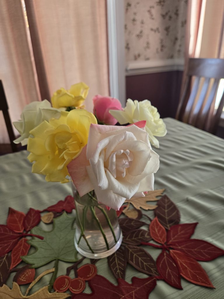 fall roses
